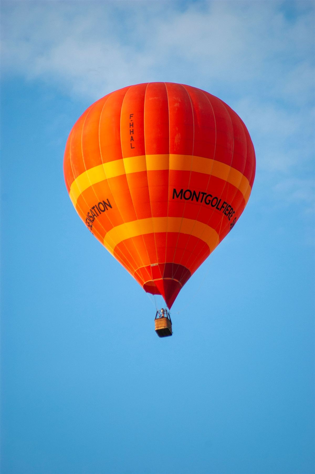 Montgolfière survolant la vallée de la Loire