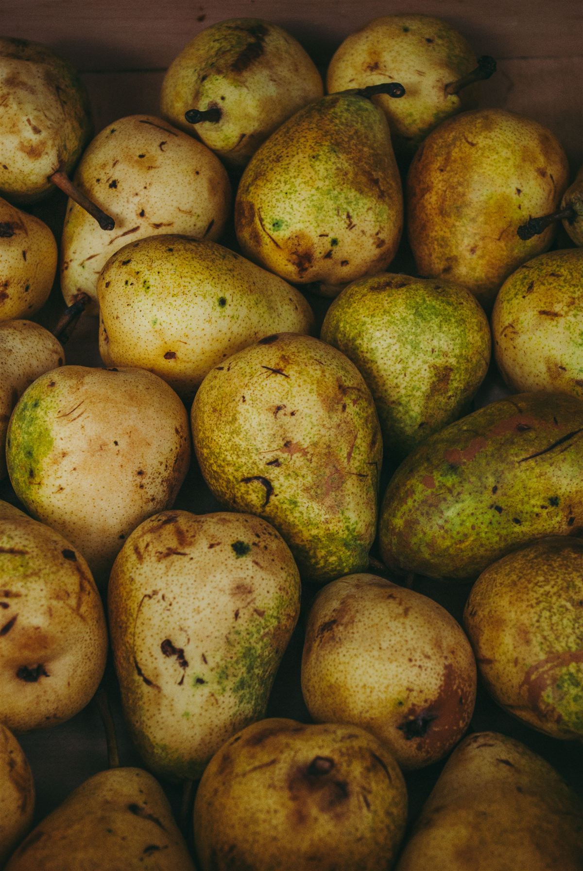 Poires tapées, spécialité de Rivarennes